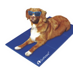Gopetee High Quality Cold Gel Mat